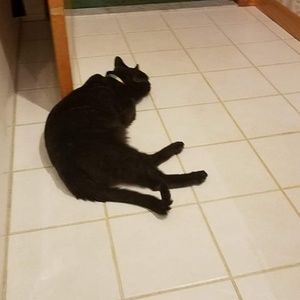 Meet your Posher, Cathy